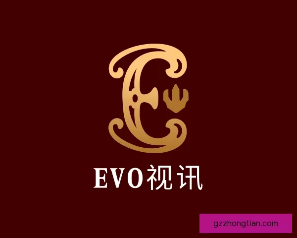认识EVO视讯