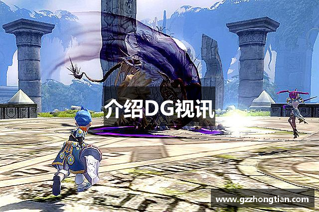 介绍DG视讯